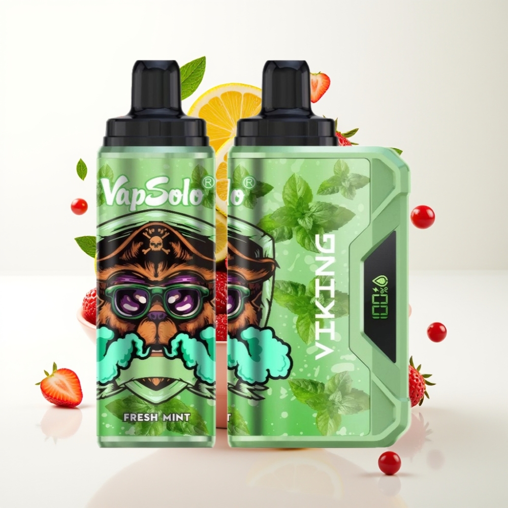 VapSolo VIKING 12000 Pufova Jednokratna E-cigareta Svježa Meta 22ml/20-50mg/ml/Tip-C/LED